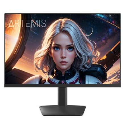 Monitor 23.8P IPS NTECH RX3 FHD 100HZ 1MS (HDMI/VGA)